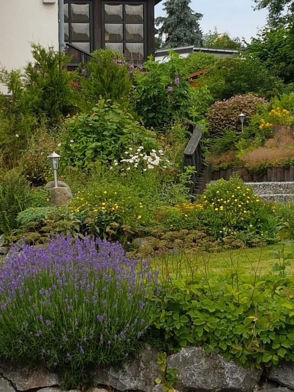 Claudias Wohlfuhlpension Willingen  Eksteriør billede